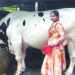 ভাগ্যের পরিবর্তন হলো না ভাগ্যরাজকে দিয়ে  ইতির